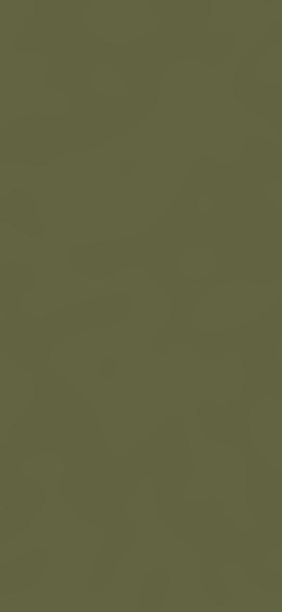 519097-2508_olive.jpg