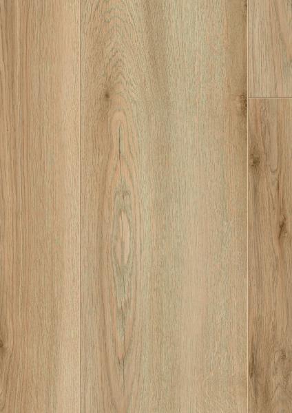 846735-D80962_1380_244_V4_-