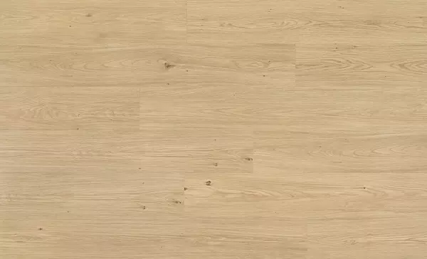 957660-